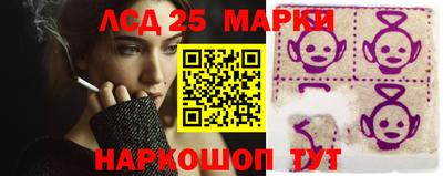 прущие грибы Обнинск